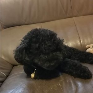 Meet your Posher, Haoyi